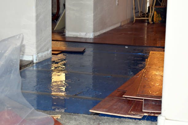Professional Sewage Cleanup technician working in Watkins, CO